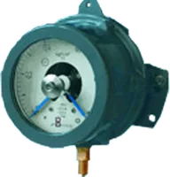 Манометры, вакуумметры и мановакуумметры ДМ2005Cг1Ех